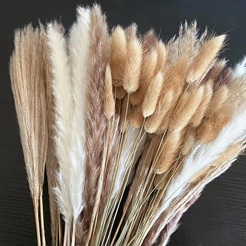 Fluffy Pampas Dried Flowers Bouquet Home Decor Natural Bunny Rabbit Tail Grass Artifical Flower Wedding Party Decoration